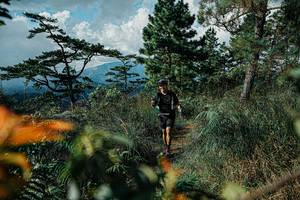 BIB: 
                            <button type="button" onclick="openModal(25260830)" class="btn btn-primary btn-sm float-right btn-popup" data-toggle="modal" data-target=".modal-high-quality">
                        <i class="fas fa-shopping-cart"></i> Add to Cart
                    </button>
                                            <button type="button" onclick="isThisMe(25260830, true)" class="btn btn-success btn-sm float-right btn-popup btn-isme hidden" data-toggle="tooltip" data-placement="bottom" title="นี่คือรูปของคุณใช่ไหม คลิกที่นี่เพื่อเอาเข้าอัลบั้ม">
                        <i class="fas fa-plus"></i> Add to album
                    </button>
                    <button type="button" onclick="isThisMe(25260830, false)" class="btn btn-warning btn-sm float-right btn-popup btn-isnotme hidden">
                        <i class="fas fa-ban"></i> Remove from album
                    </button>